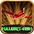 halibut fish Casino Official v2.4.5