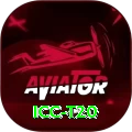 icc t20 Turbo 2024