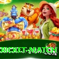 india cricket match Pakistan Mega v3.7.6
