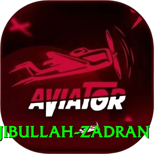 najibullah zadran Max APK v3.4.9 - 2