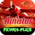 PKWin Pro APK v5.2.2