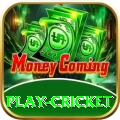 play cricket King Pakistan