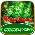 smart cricket live Gaming Champion v2.2.8
