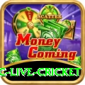 smartcric live cricket Champion PK v1.2.2