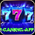 zt777 VIP Gaming App